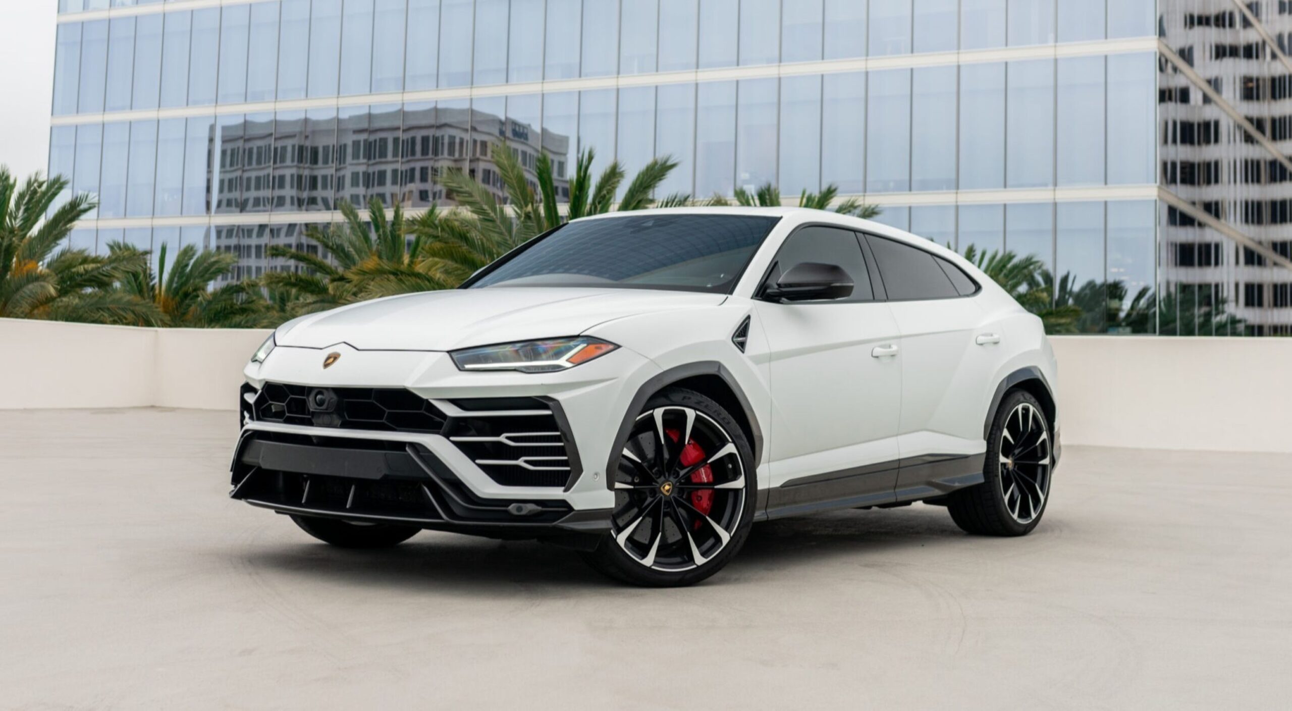 White Lamborghini Urus 2026